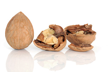 Image showing Walnuts