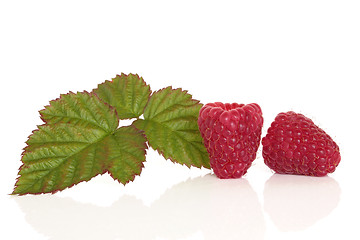 Image showing Raspberry Fruit