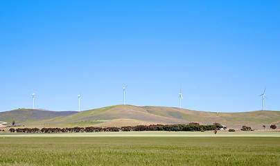 Image showing wind turbines along hill