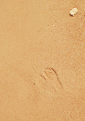 Image showing footprints