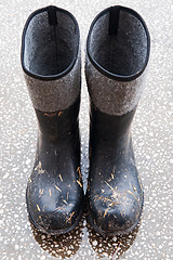 Image showing Rubber shoes