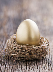 Image showing Golden egg