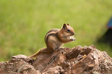 Image showing Time for a snack