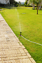 Image showing water sprinkler