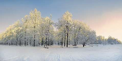Image showing Winter park panorama