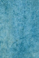 Image showing light blue chamois