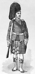 Image showing 1894 Scottish Sergeant