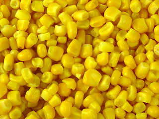 Image showing Tinned corn