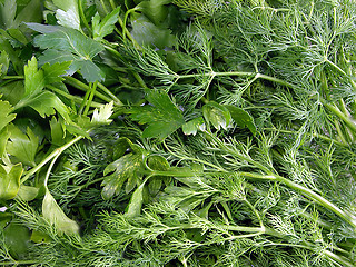 Image showing Greens, fennel, parsley