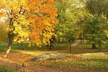 Image showing Autumn Park