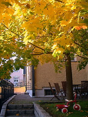 Image showing City Courtyard  in the Autumn