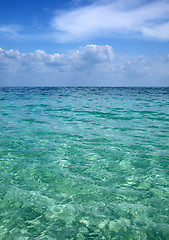 Image showing   tropical beach