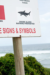 Image showing shark sign