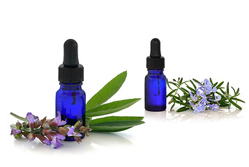 Image showing Rosemary and Comfrey Herb Therapy