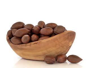 Image showing Pecan Nuts