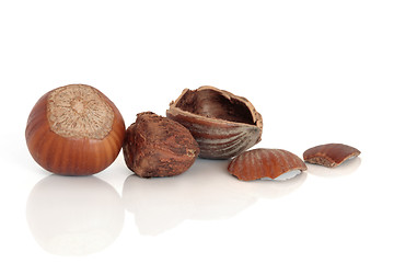 Image showing Hazelnuts