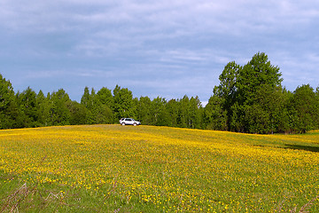 Image showing Car on meadow