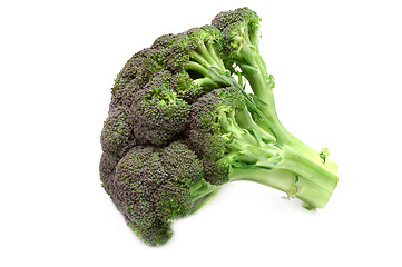 Image showing Broccoli