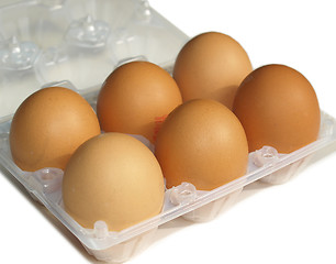 Image showing Eggs