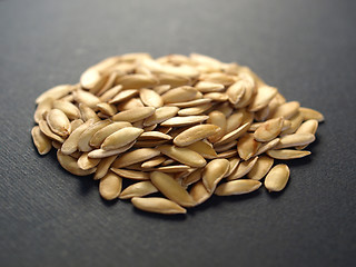 Image showing Melon seeds