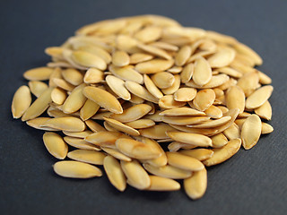 Image showing Melon seeds