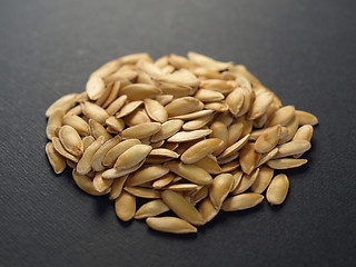 Image showing Melon seeds