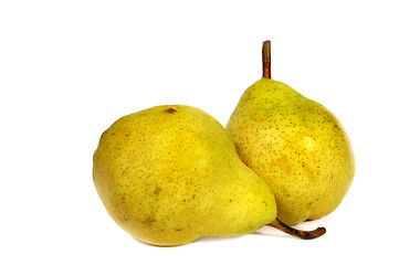 Image showing Pears