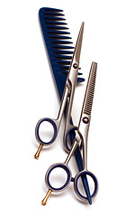 Image showing Handle rake and scissors