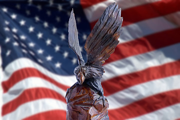 Image showing Eagle on a background of the American flag