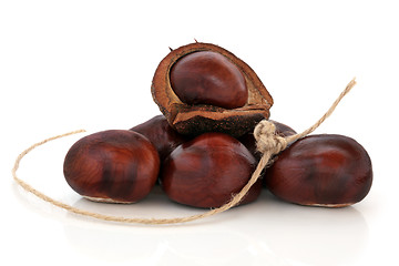 Image showing Conkers