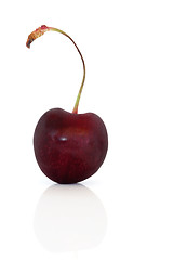 Image showing Cherry  