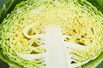 Image showing Closeup of half sliced cabbage head