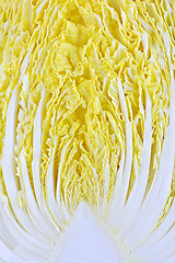 Image showing Closeup of half sliced chinese cabbage head