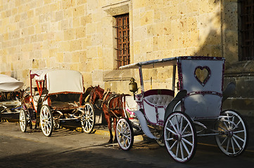 Image showing Horse drawn carriages in Guadalajara, Jalisco, Mexico