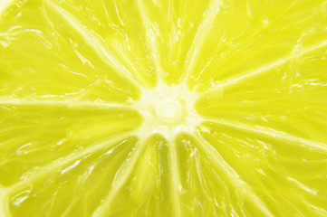 Image showing Lemon macro