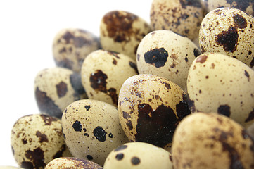 Image showing Quail eggs