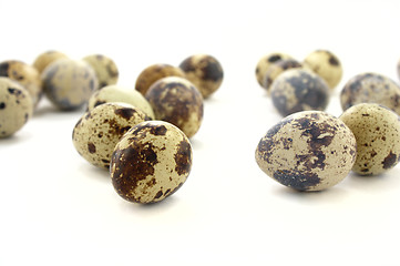 Image showing Quail eggs