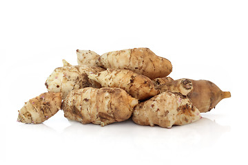 Image showing Jerusalem Artichoke 