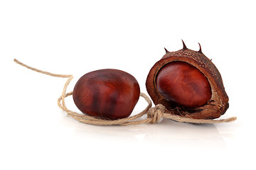 Image showing Conkers