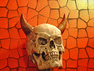 Image showing Skull