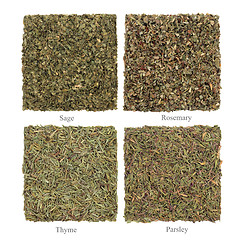 Image showing Parsley, Sage, Rosemary and Thyme Herbs