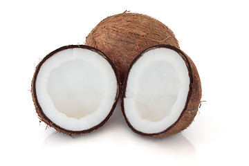 Image showing Coconut