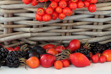 Image showing Wild Autumn Fruit