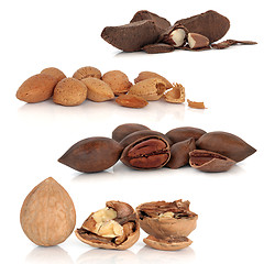 Image showing Nut Selection
