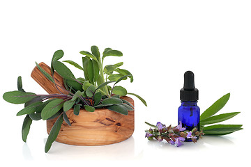 Image showing Sage Herb and Essential Oil