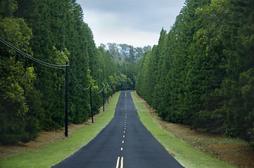 Image showing Country road