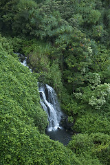 Image showing Hawaiian waterfall