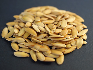 Image showing Melon seeds