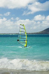 Image showing Windsurfing