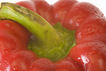 Image showing macro red pepper